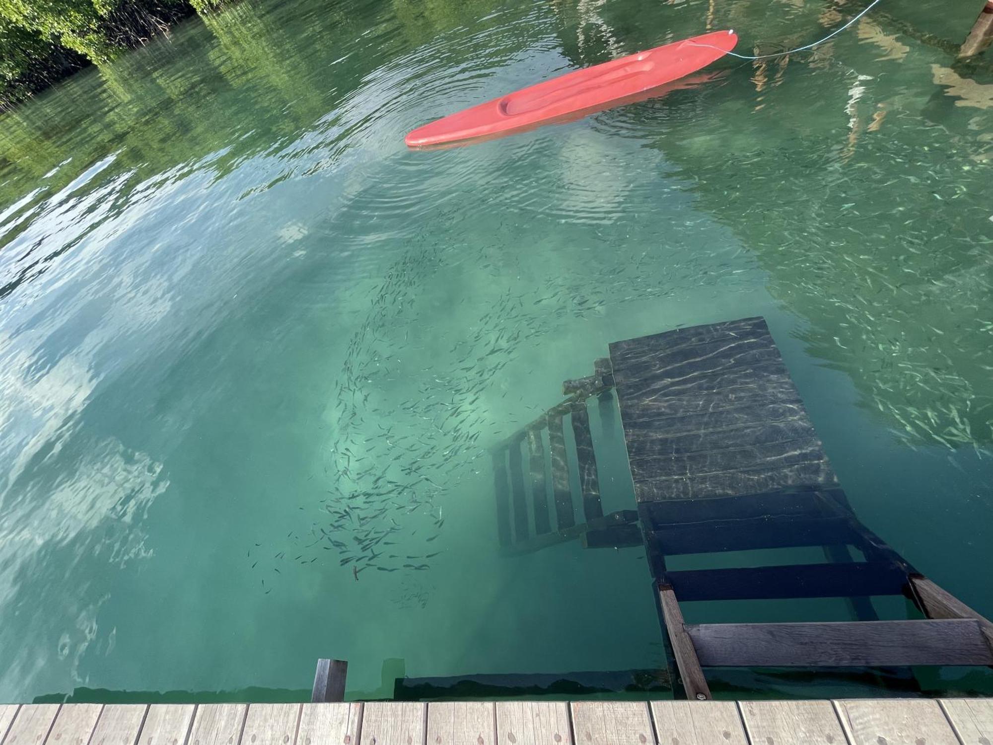 Floating Paradise Karimunjawa Zewnętrze zdjęcie
